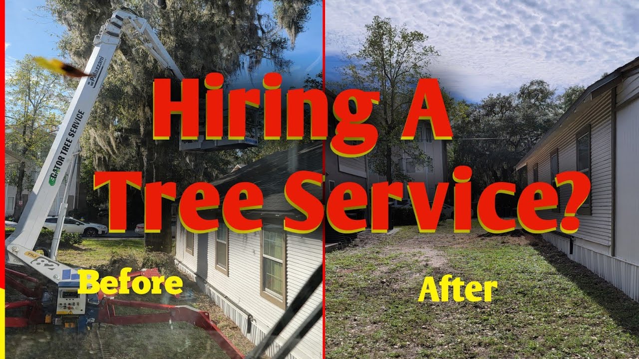 Expert Tree Care Tips from Local Arborists