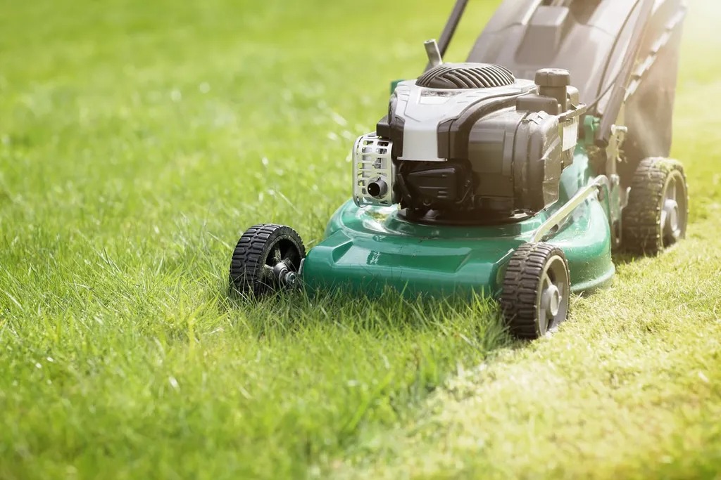 Why Is Seasonal Lawn Care in Calgary Important for Homeowners?